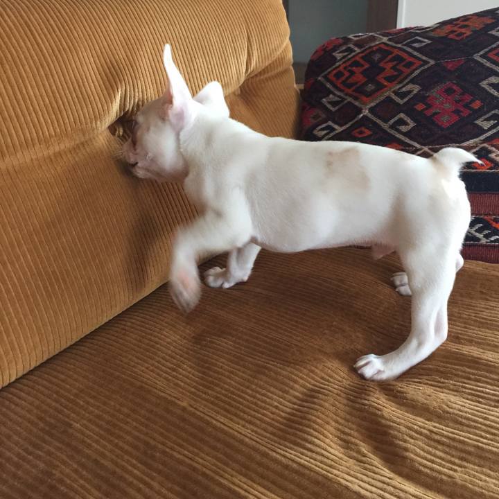 6ae3b3ac 7f53 4af8 aa92 f9c7426a3a26