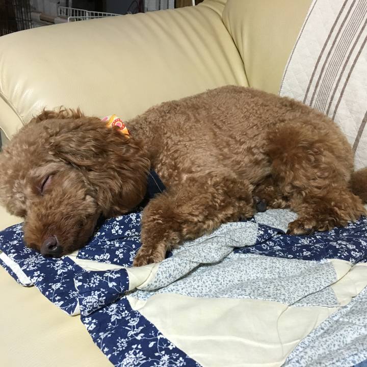 6ae42235 7541 4106 89a9 13053c7c7d54