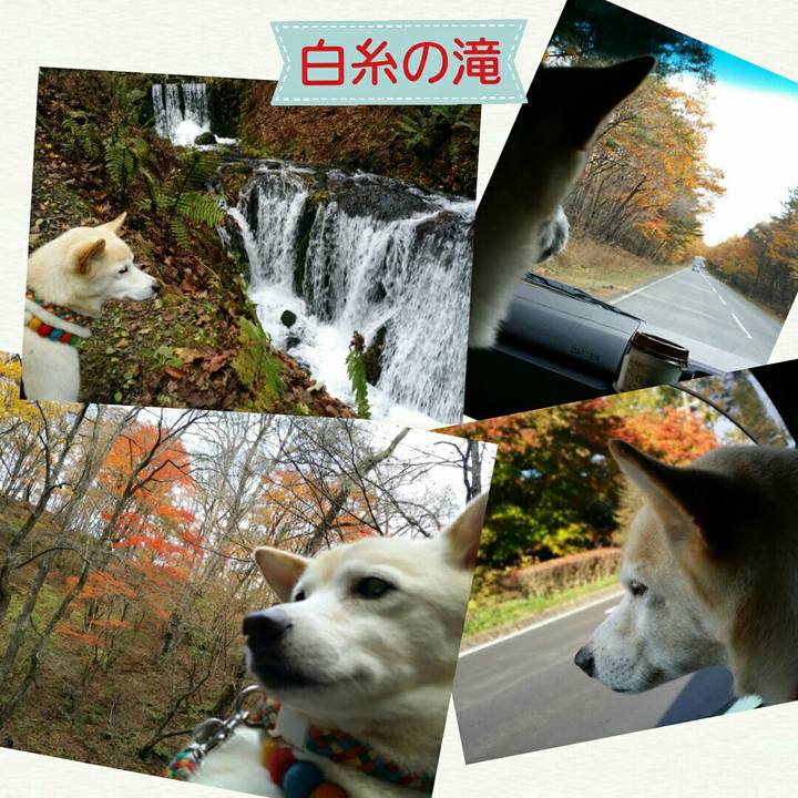 6ae48094 d375 4ea5 9d11 3fb9fbd03ada