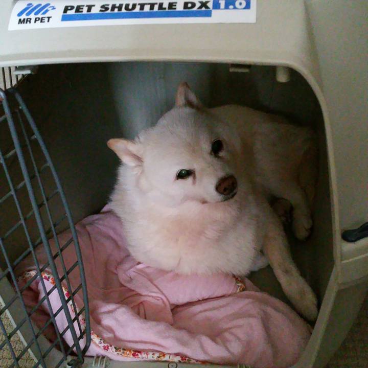 6ae4a1ce 870e 4d66 8eb7 745f99eeedcd