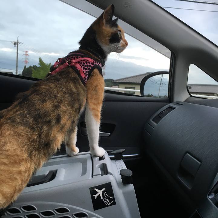 6ae4b139 5a29 41c0 9563 c86a5a3f10f9