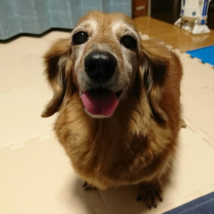 6ae4b765 1081 4fee 9dcc ebbc4d6043c4