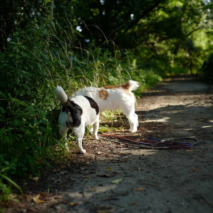 6ae4e606 2cac 47d6 a0b5 76238be9b002