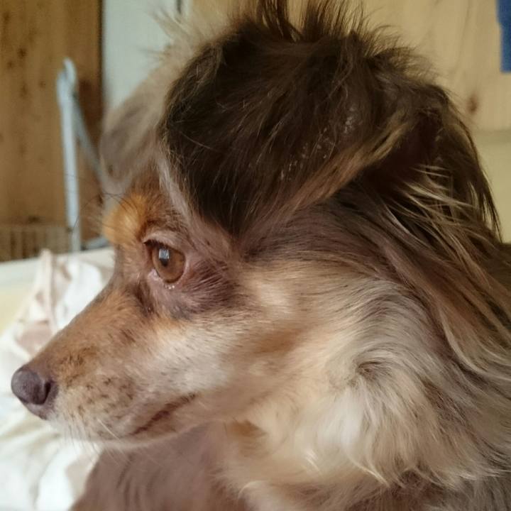 6ae52a67 64a1 4dc4 a854 99b965997d3c