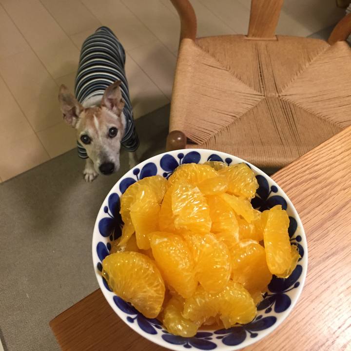 6ae52e73 9062 4942 b52b 7ce045fbe016