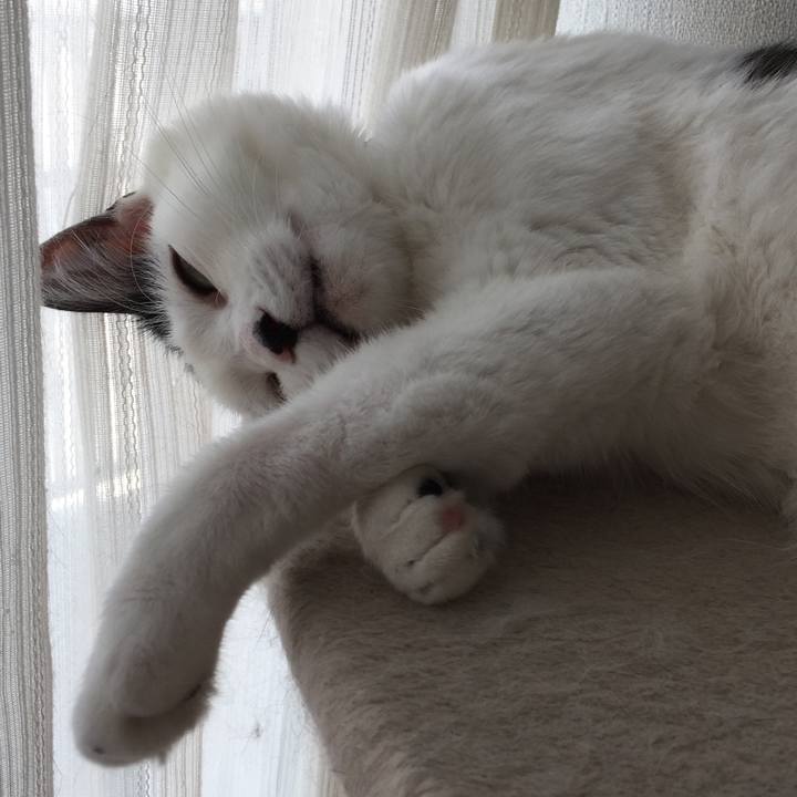 6ae5a997 87ce 494f 9fbd 68b23cf4e848