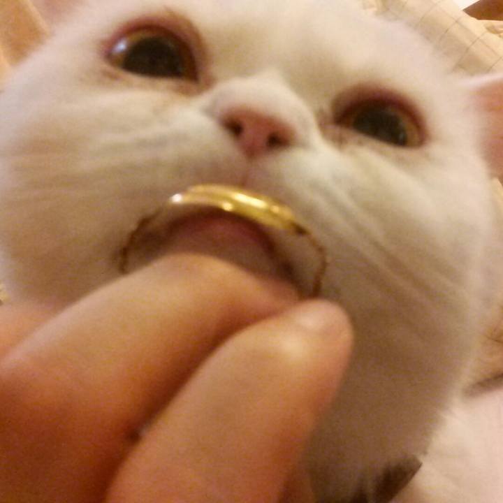 6ae5e285 4106 405e 881a 89c5e22b56ed