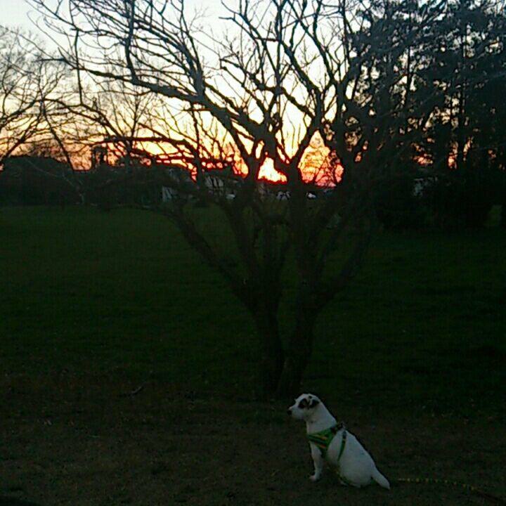 6ae5eed0 be68 40d0 b753 f84b49df9b5c