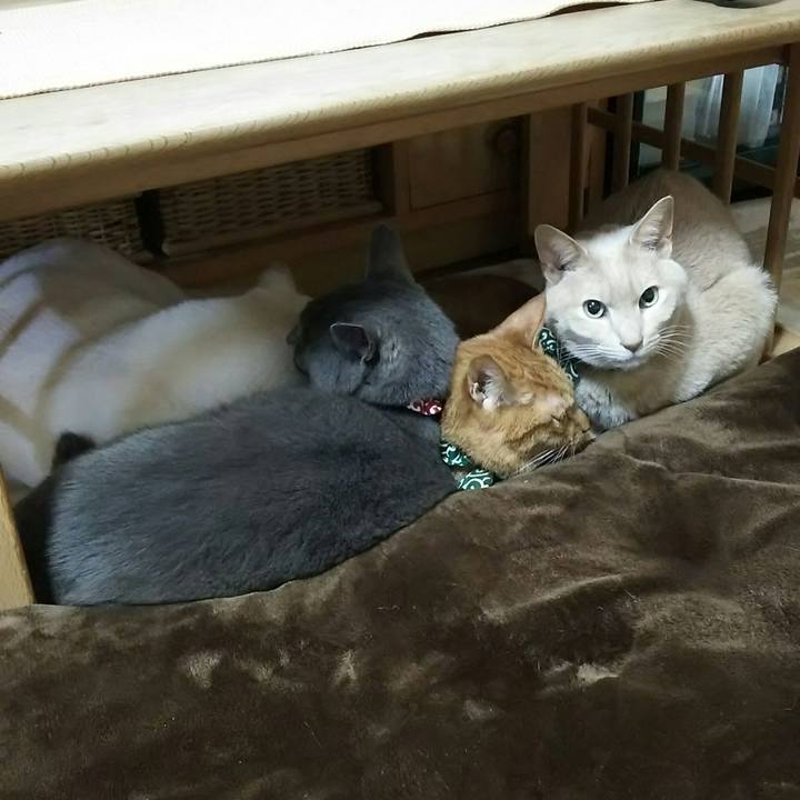 6ae68617 a12f 41b5 83ee 2fa4bc9a377c