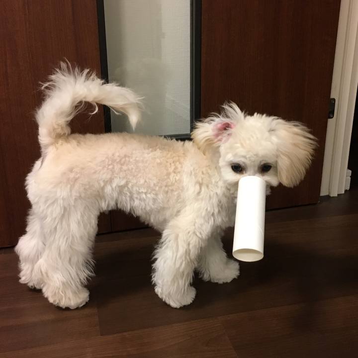 6ae6dfac c7c6 4bbb 8384 e38a3ce636ed