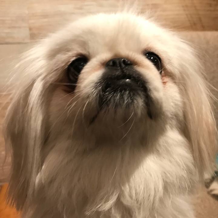 6ae830fd 7440 4236 aebe 696e27de0687