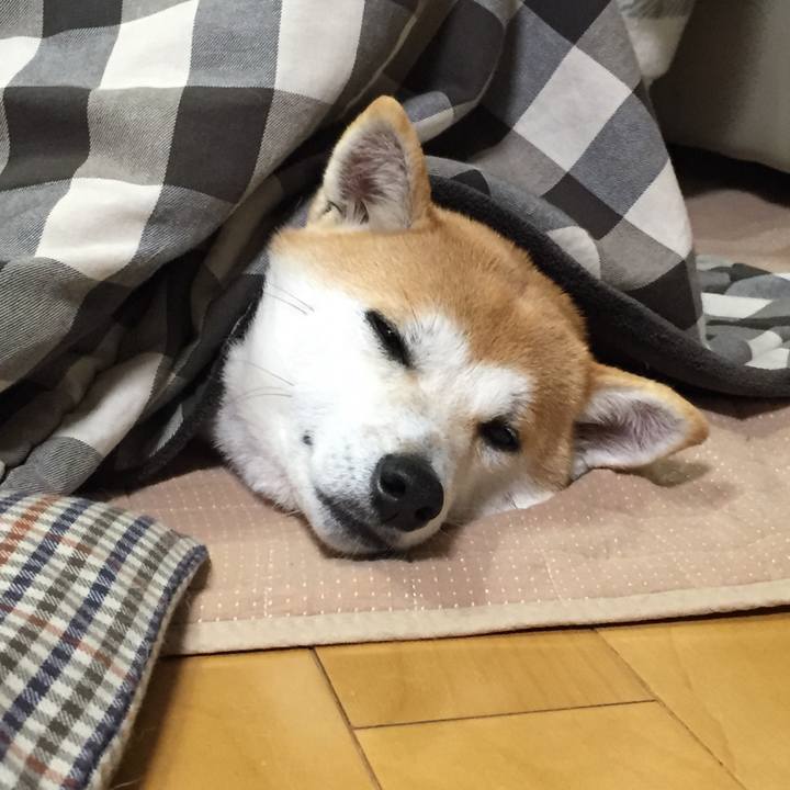 6ae89cc2 6eb8 4a39 b61d 65f597e1a922