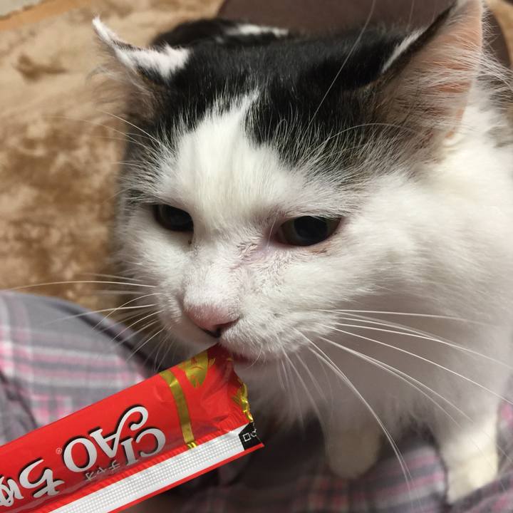 6ae95630 1ed8 4c9c acd5 60d2eaa8ca4c