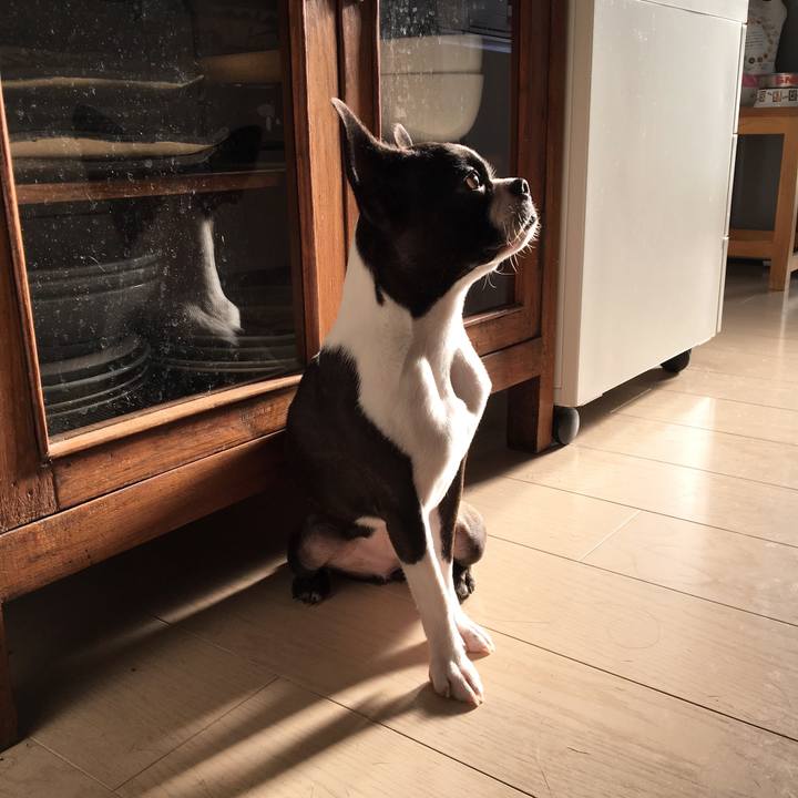 6ae9a344 4449 4d46 bf01 249b5244784a