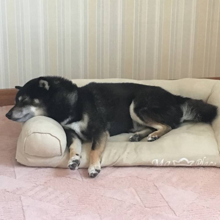 6ae9d6f6 9d12 4126 a1b5 436da2c2b0c4