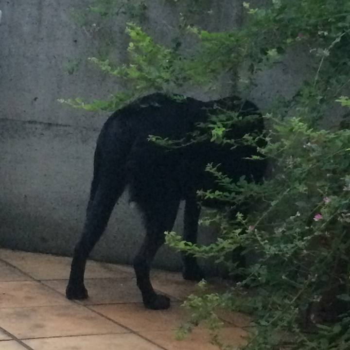 6ae9db9c 4842 4339 8b2f 6b207b2f6a6c