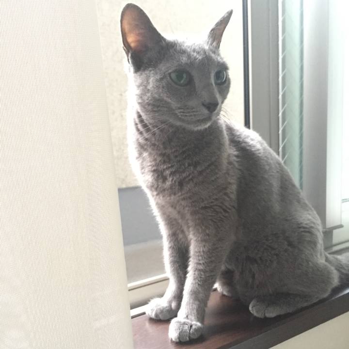 6ae9efb6 3051 4281 b4d9 324fedf3a7c1