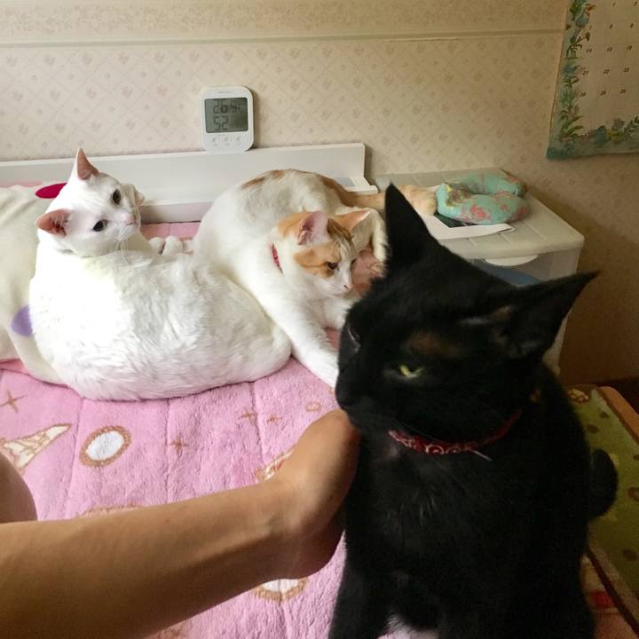 6aea2bf0 d3aa 4901 bc80 8bb70f1f5517