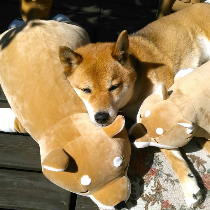 6aeb8263 99a7 4a8e ad70 47983dc59af9