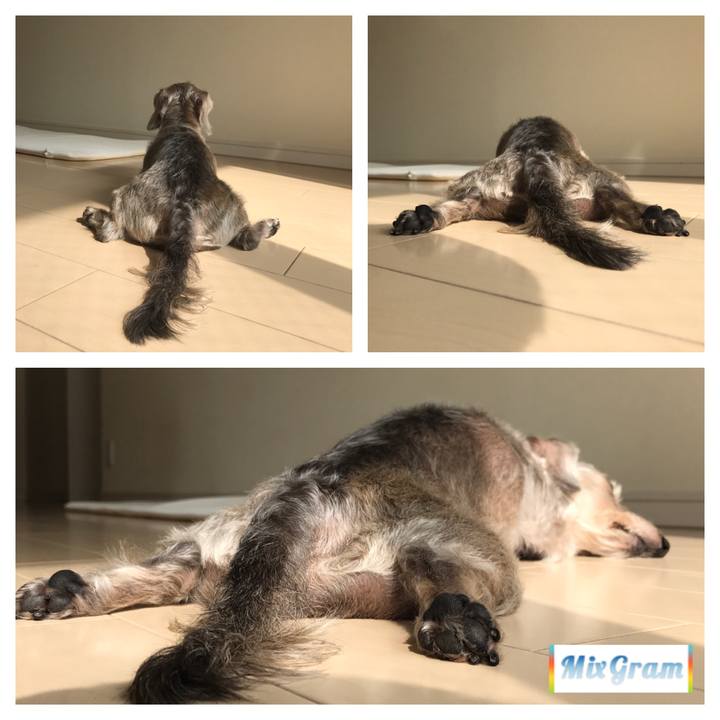 6aebffd7 7b7f 4c56 a7a6 39bfb555a5ae