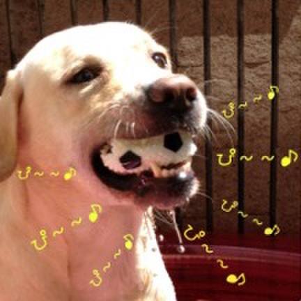 6aed642f feed 48a8 ba81 dee0da906124