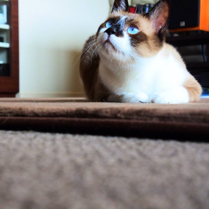 6aeea25b 720c 42a2 8587 8d7eaefeb49b