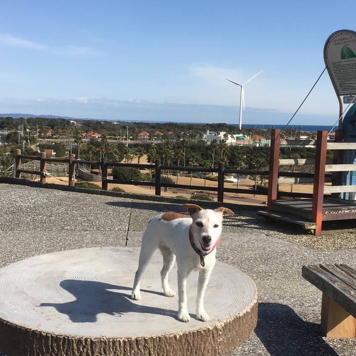 6aeedd7f 8d4c 4fe4 bd63 055bafc5f598