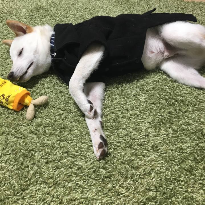 6aeefca9 9c6e 450f 8354 623905a82f63