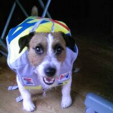 6aef194d 5845 4f16 9971 43fbae69d786