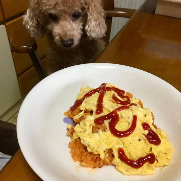 6aef8cc8 6867 445f ac7a c183802f666f