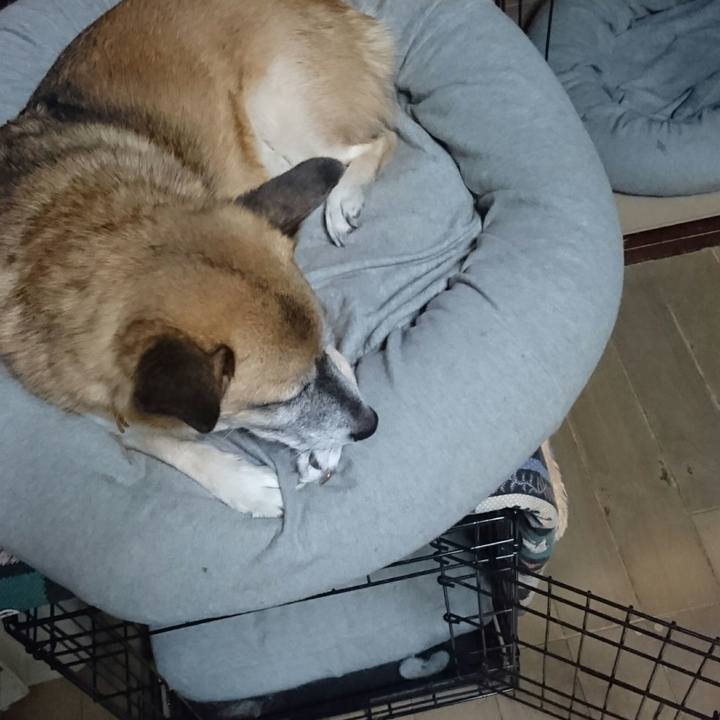 6aefb366 96c1 4c16 bcef 0e4d1de8dd7c