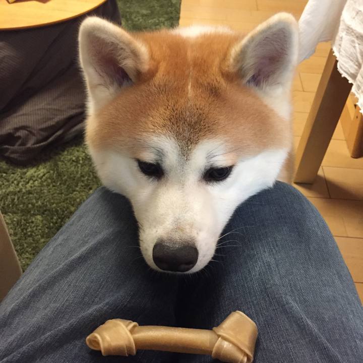 6aefb9d8 c7de 4e71 8242 6ed149f5e22a