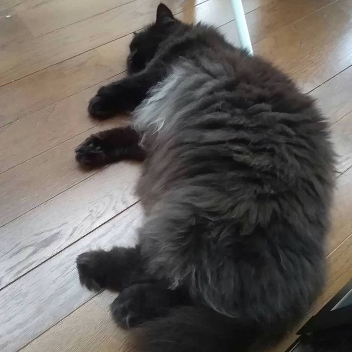 6aefc52b 1488 419f afcc 2ccdeb14c6cc