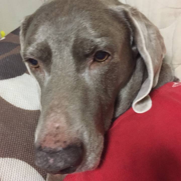 6af015c2 2aac 42c0 b63a 11f9f2eec508