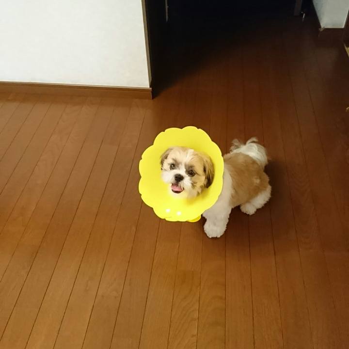 6af084e9 bc99 4381 bfa8 ec25f803de2e