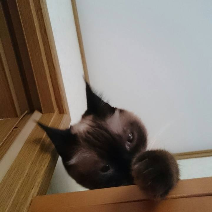 6af0fcfd c580 4358 ad6f c2086d004ae7