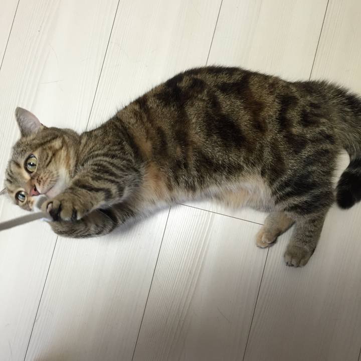 6af1965f 7420 4bbb b3ba e81f0dd113a4