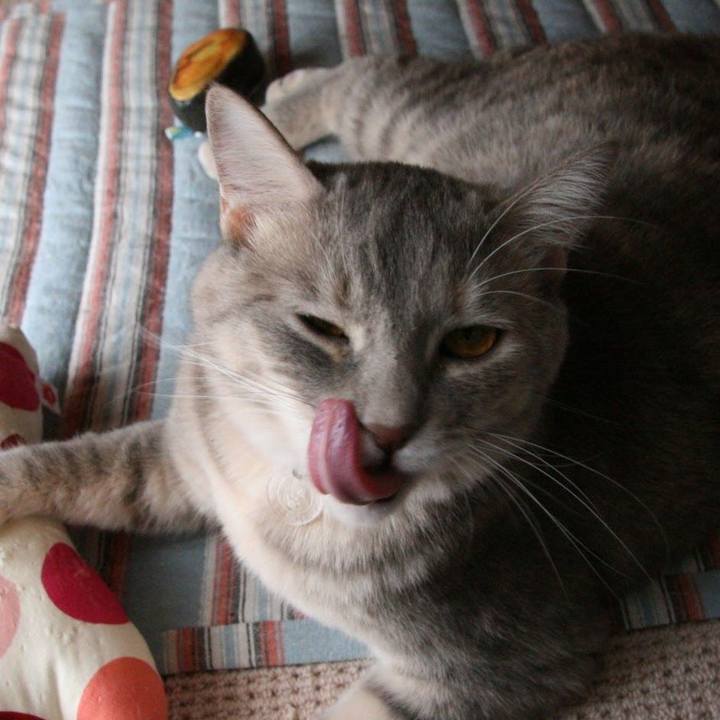 6af1a56b 7fc1 40a1 864a 30673c32eebd