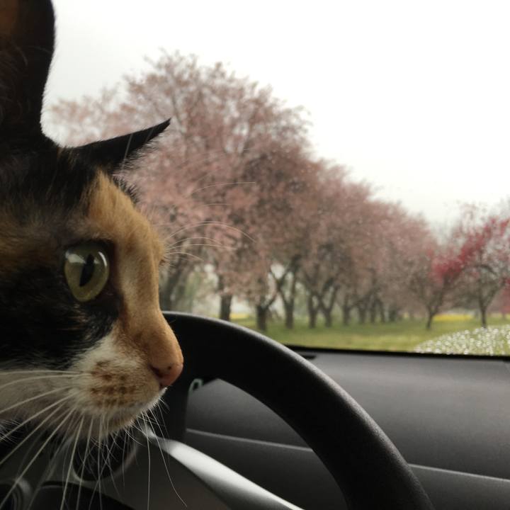 6af23c35 021a 436f 8a18 79ff7684c392