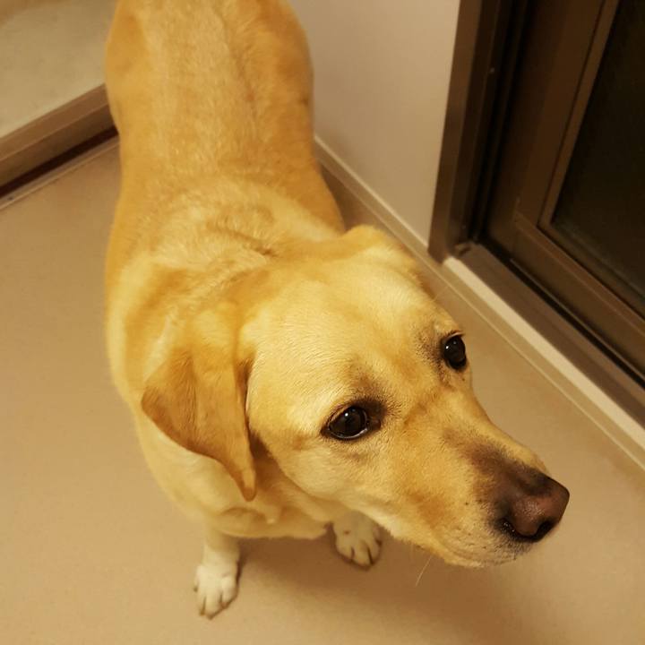 6af35104 f503 4bc6 b0f4 4ee25e238214