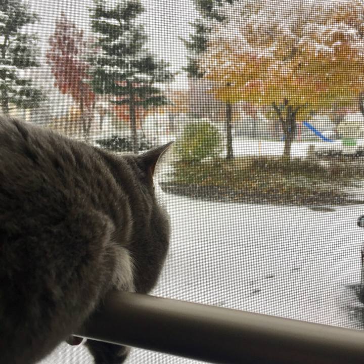 6af47126 bb30 482f bbfe af7d2f5416d0