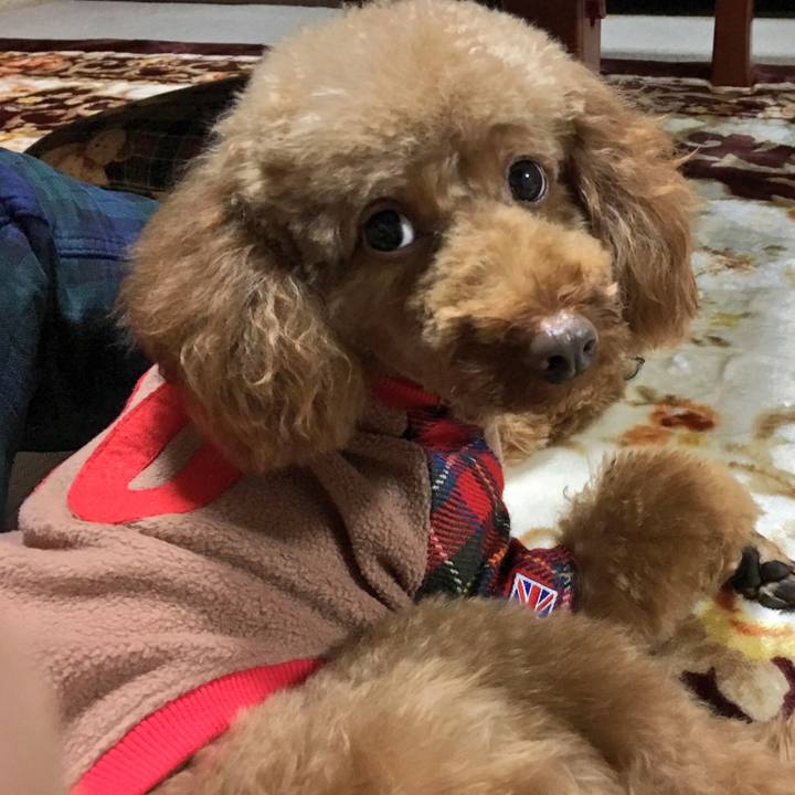 6af4a4bd 0085 4954 b97f f5733bfd5389