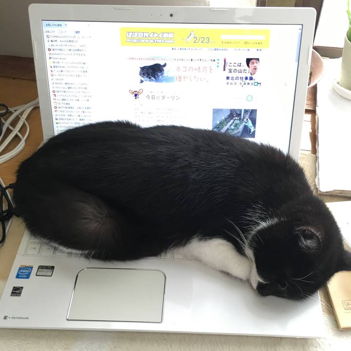 6af4b544 c58a 4b0f a866 2e0c35670359