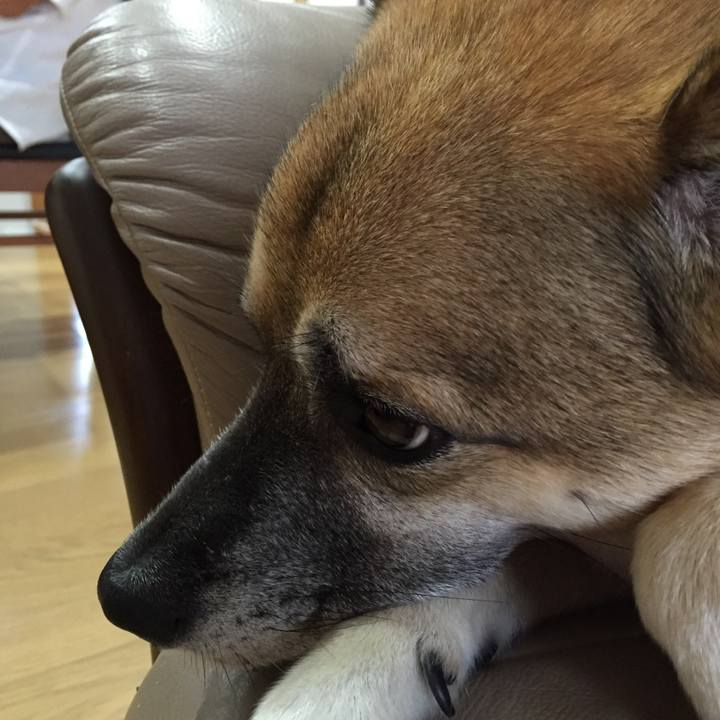 6af5070d f490 48ce 9fea d3065c4dc236