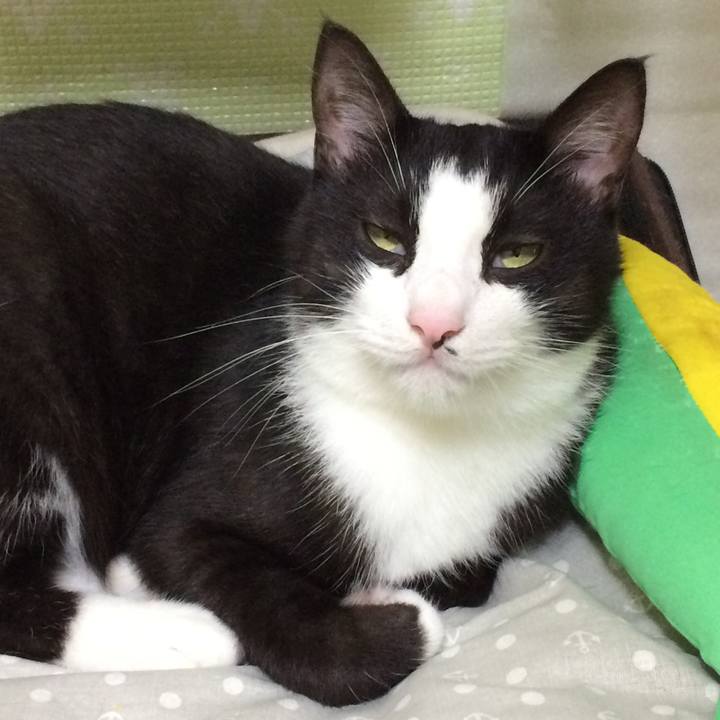 6af51119 f964 4ad7 9d32 d33f49e74e0a