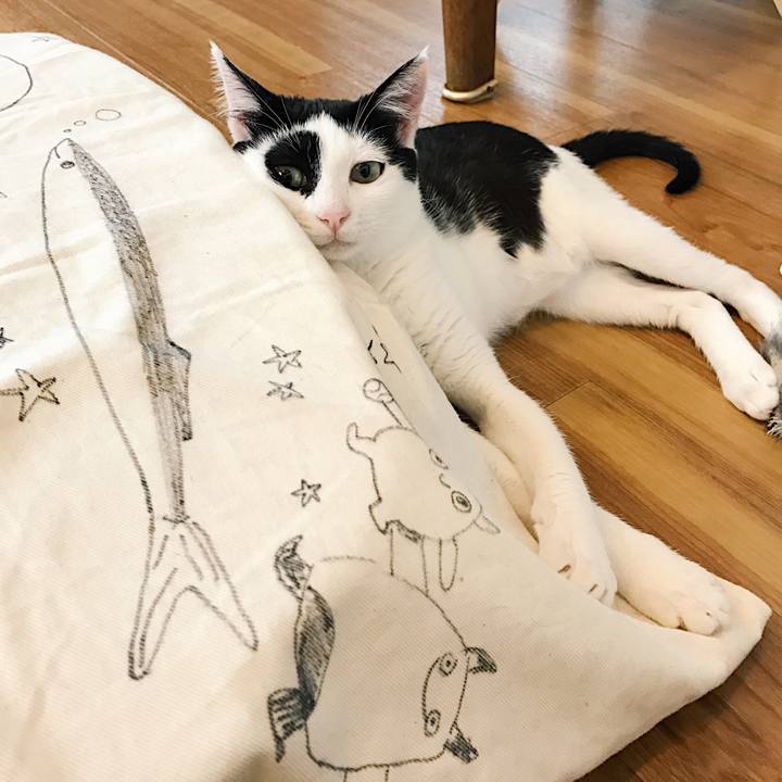 6af56e30 af3a 44df aad2 5ad753672729