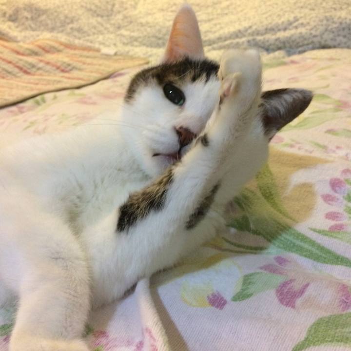 6af583d3 cf2a 4243 b6be e7a7f0c7d41f