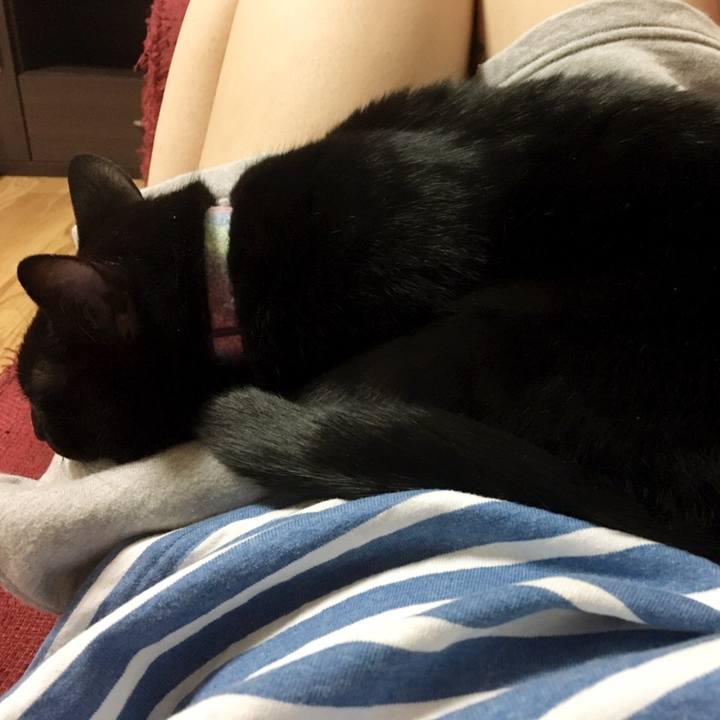 6af6490a f4d3 4537 bade 2e42d5d0db11