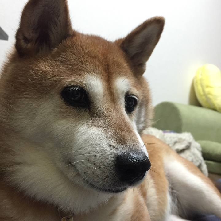 6af6564f e46a 4e86 9a23 972185fa1512