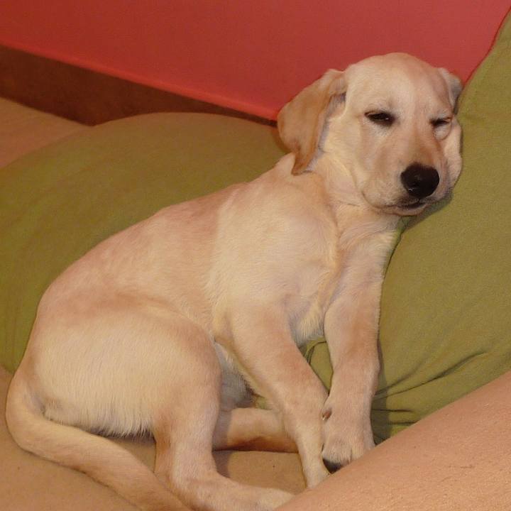 6af7062b e728 47ee ad5e 5d7976374720